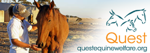 Quest Equine Welfare Inc. logo