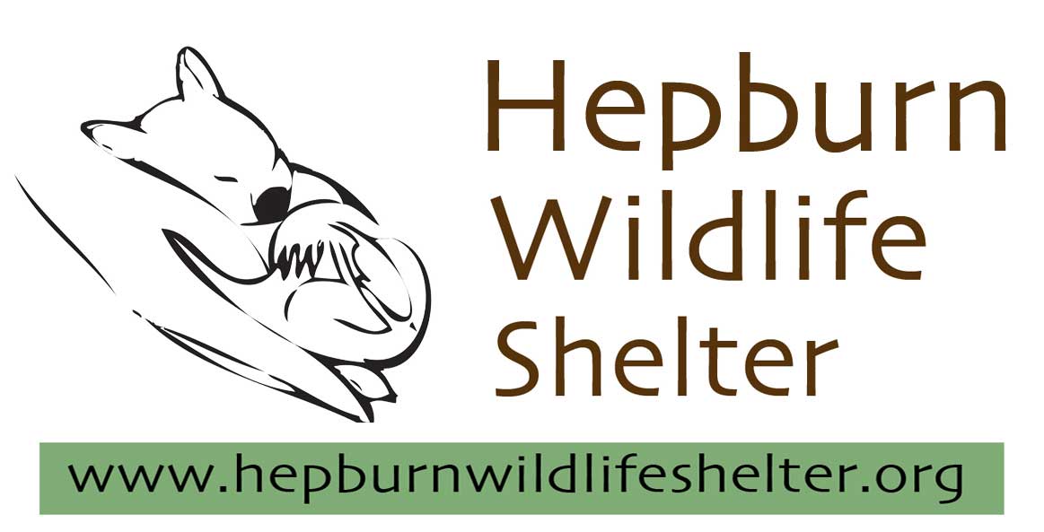 Hepburn Wildlife Shelter inc. logo