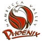 Nambucca Valley Phoenix logo