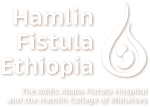 Hamlin Fistula Ethiopa (Australia) Limited logo