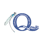 Endometriosis Association (Qld) Inc logo