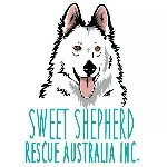 Sweet Shepherd Rescue Australia Inc logo