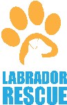 Labrador Rescue Inc logo