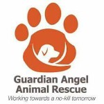 Guardian Angel Animal Rescue logo