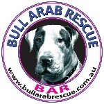 Bull Arab Rescue Australia Ltd logo