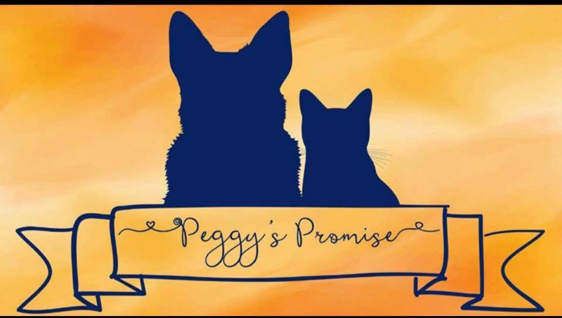 Peggys Promise no fur kid will go without the basics logo