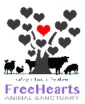 FreeHearts Animal Sanctuary logo