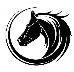 cherry lane equine retirement ltd logo