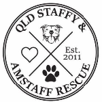 Qld Staffy & Amstaff Rescue logo