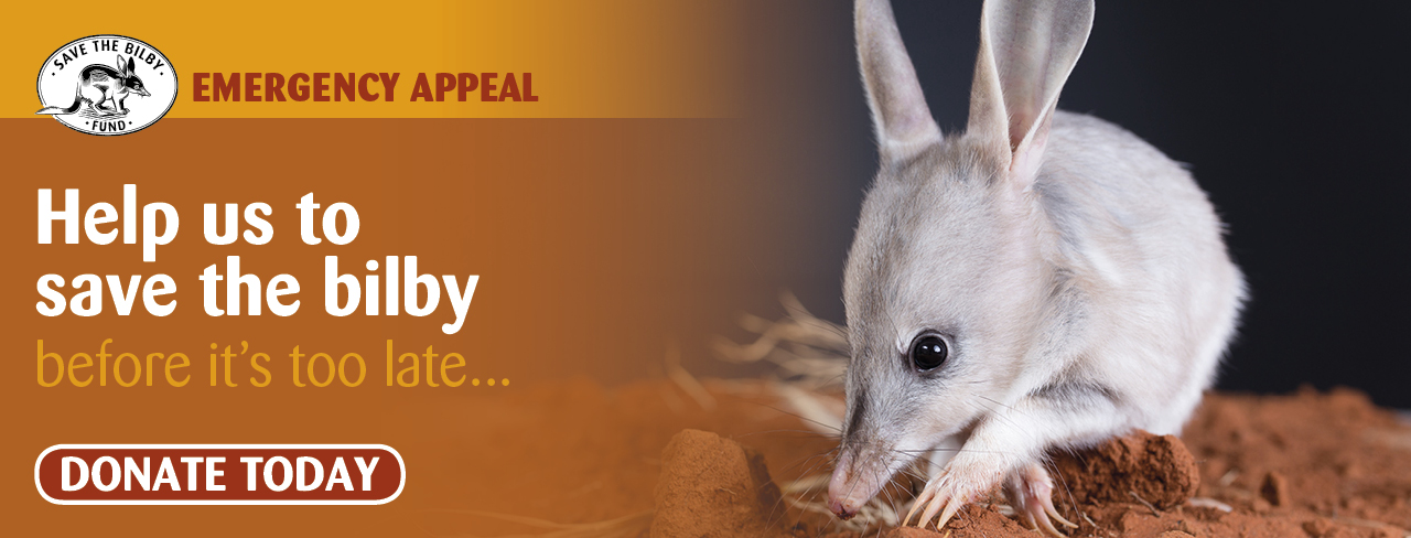 Bilby Rescue Mission Appeal