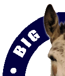 Big Ears Animal Sanctuary logo