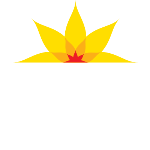 Australian Cervical Cancer Foundation logo