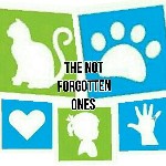 The Not Forgotten Ones Inc. logo
