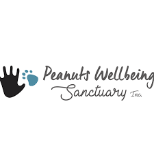 Peanuts Well Being Sanctuary logo