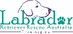 Labrador Retriever Rescue Australia logo