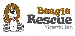 Beagle Rescue Victoria In. / Beagle Freedom Australia logo