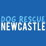 Dog Rescue Newcastle logo
