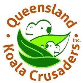 Queensland Koala Crusaders logo