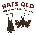 Bats Qld (Flying Foxes & Microbats) Inc. logo