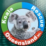 Koala Rescue Qld Inc logo